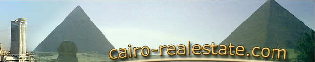 cairo-realestate.com